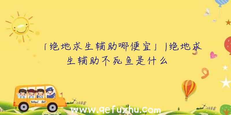 「绝地求生辅助哪便宜」|绝地求生辅助不死鱼是什么